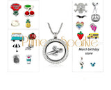 Trendy Charms & Magnetic Locket
